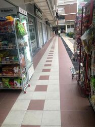 Tiong Bahru Orchid (D3), Shop House #506736981
